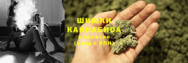 дживик Володарск