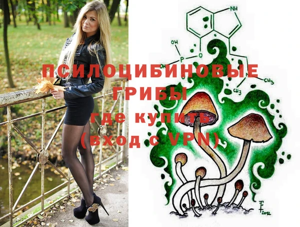 МДПВ Вязники