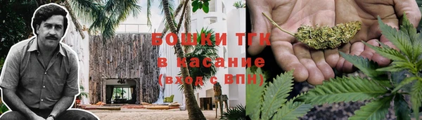 эйфоретик Вязьма